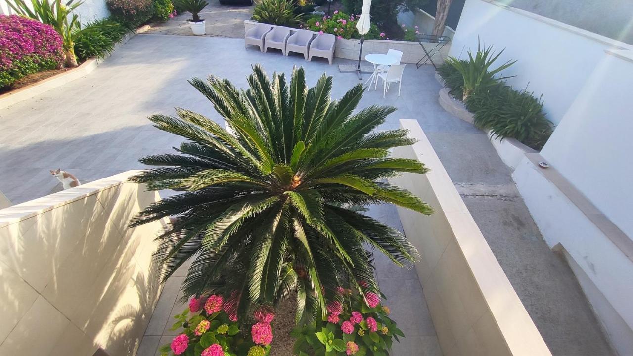 Seagull Apartments - Front And Sea View & Airport باري المظهر الخارجي الصورة