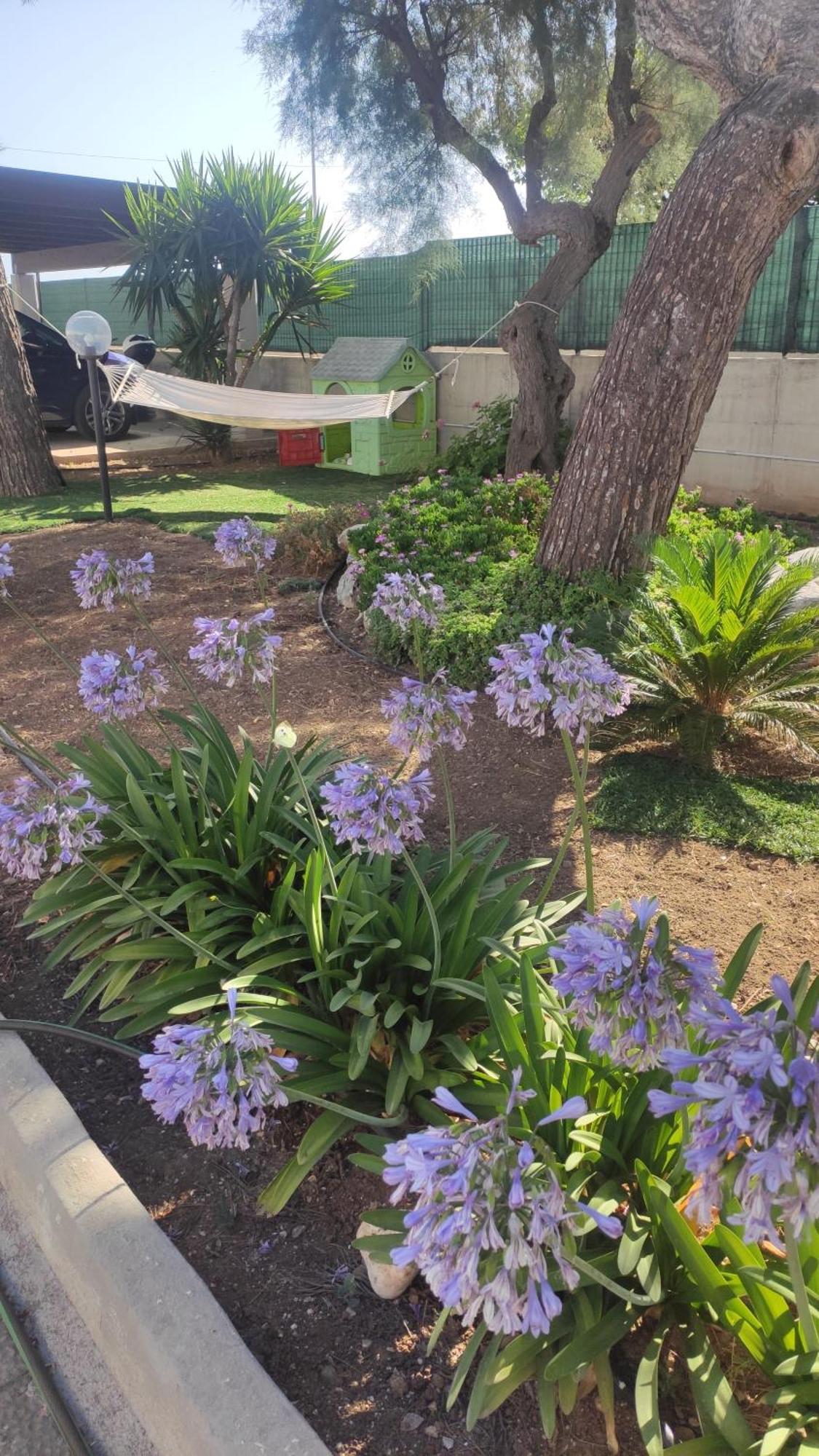 Seagull Apartments - Front And Sea View & Airport باري المظهر الخارجي الصورة