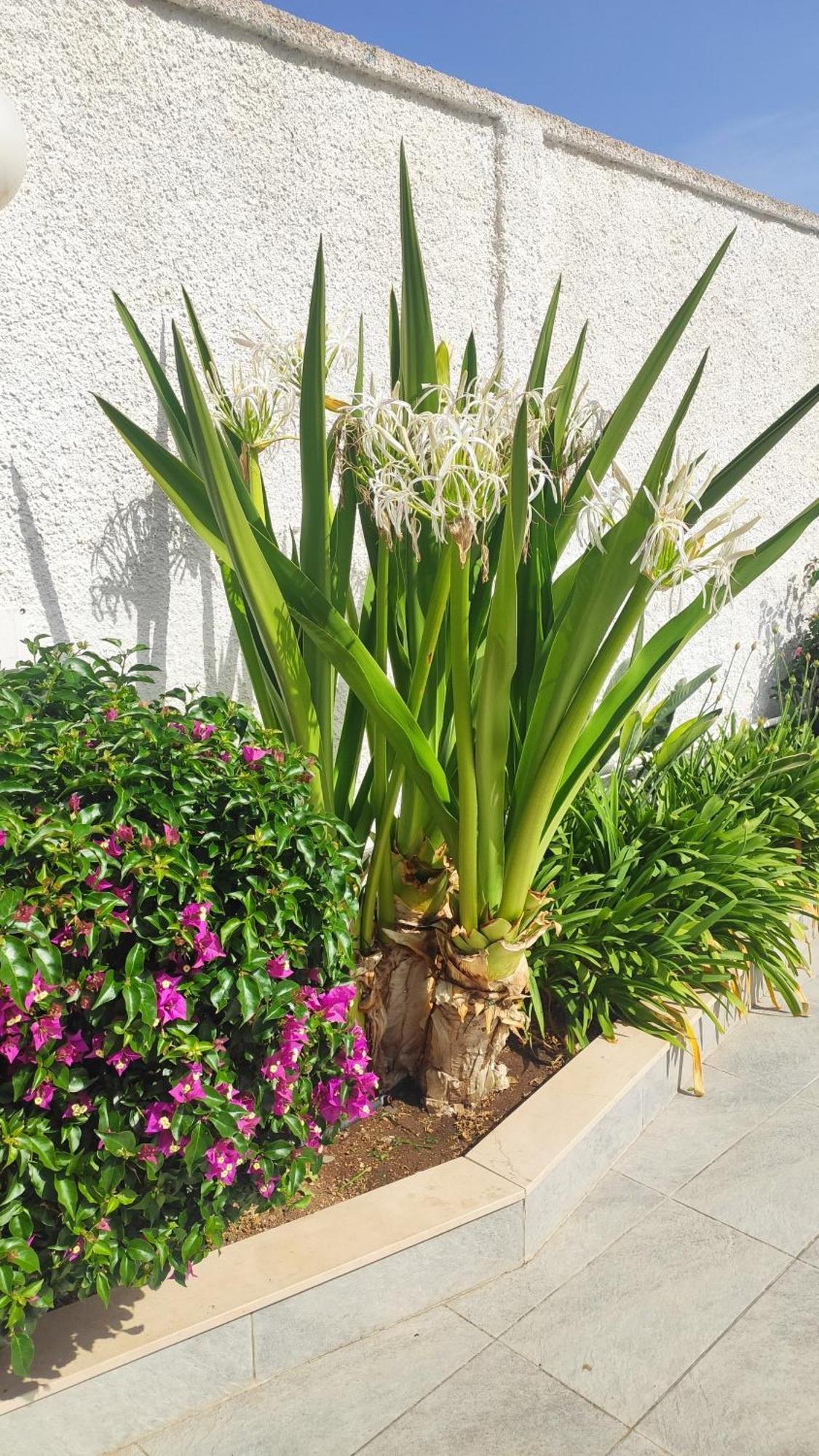 Seagull Apartments - Front And Sea View & Airport باري المظهر الخارجي الصورة